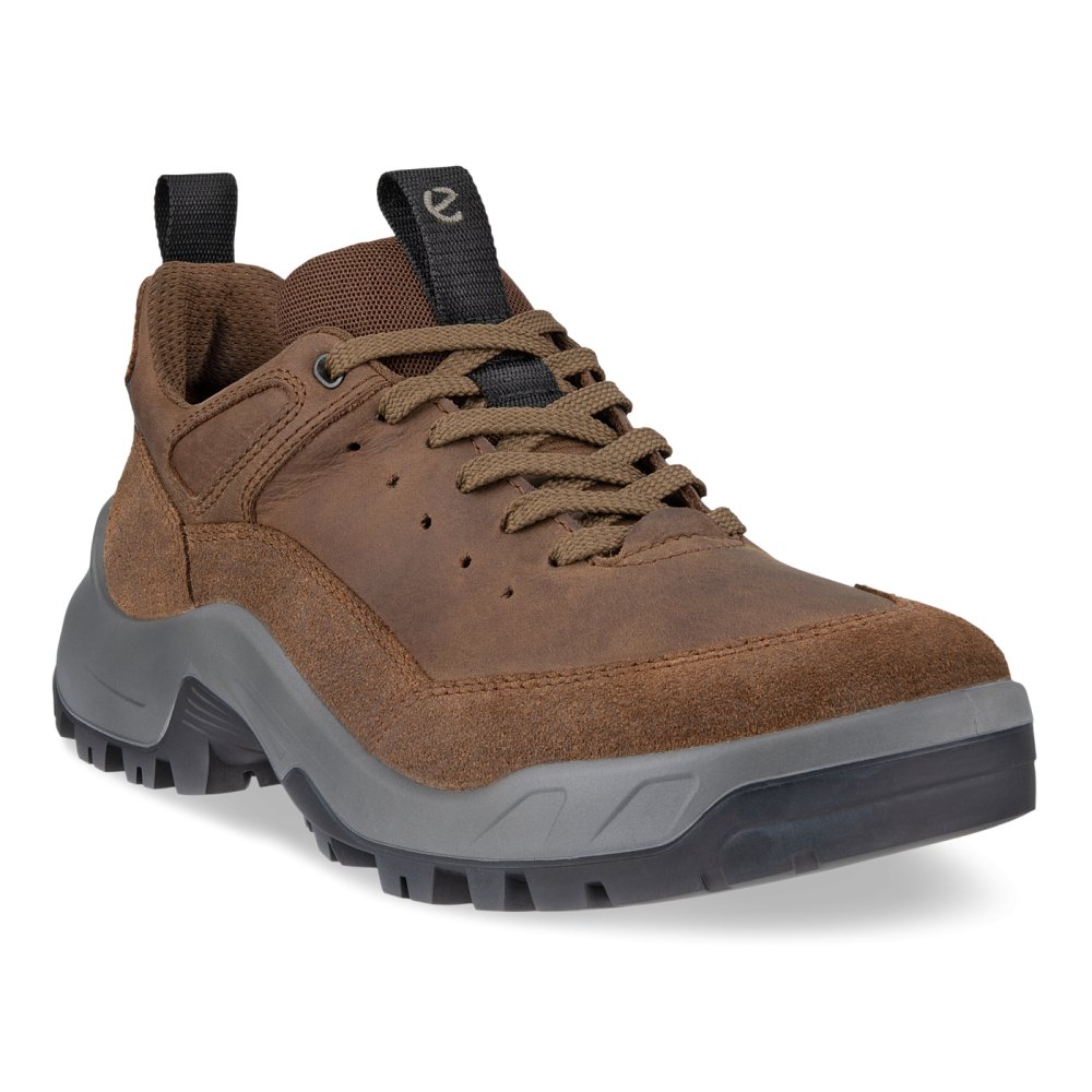 Ecco Men's Offroad Lace-Up Shoe - Cocoa Brown/Cocoa Brown