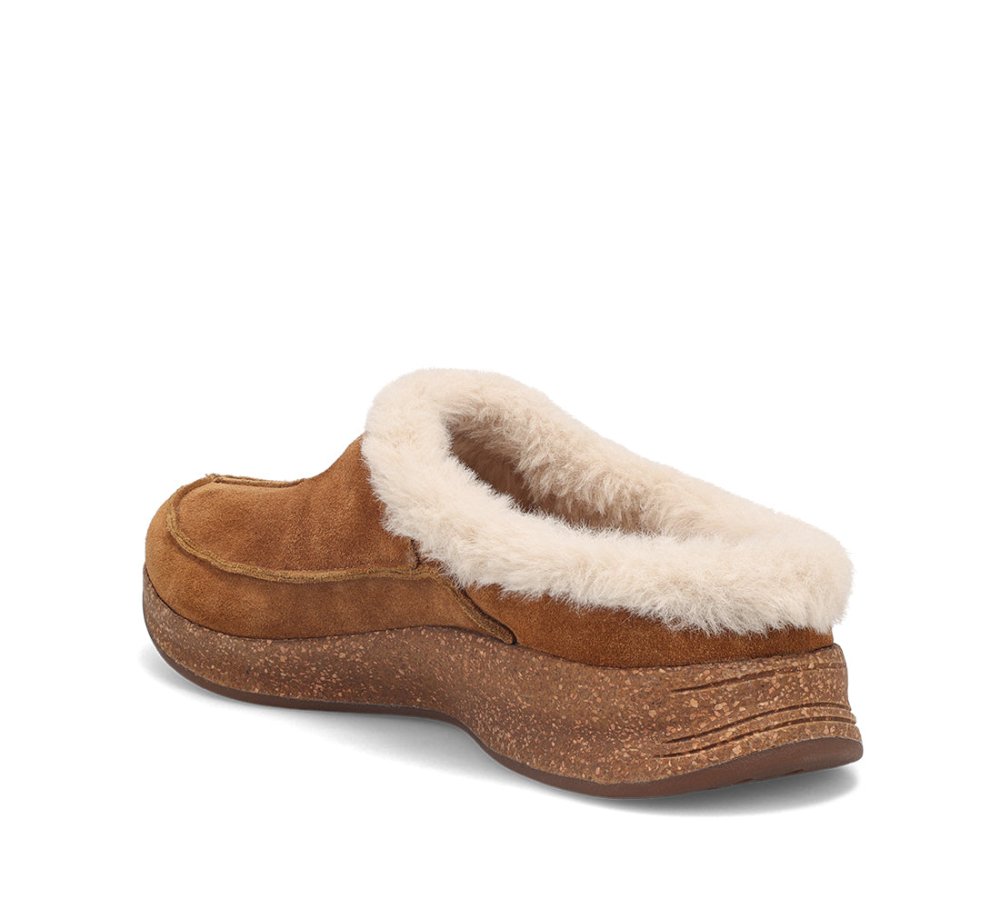 Taos Women's Future Fur-Lined Clog - Chestnut Suede